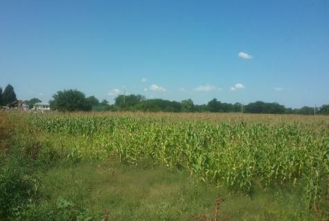 teren intravilan Corbii Mari judet Dambovita - Poză 2