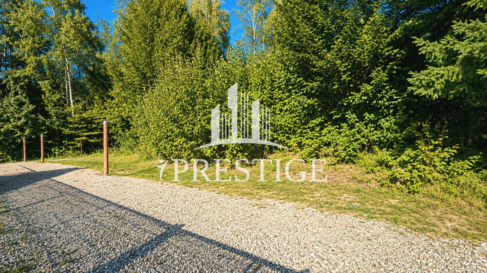 TEREN INTRAVILAN 744 MP | VALEA AVRIGULUI | IDEAL PENTRU CABANĂ - Poză 12