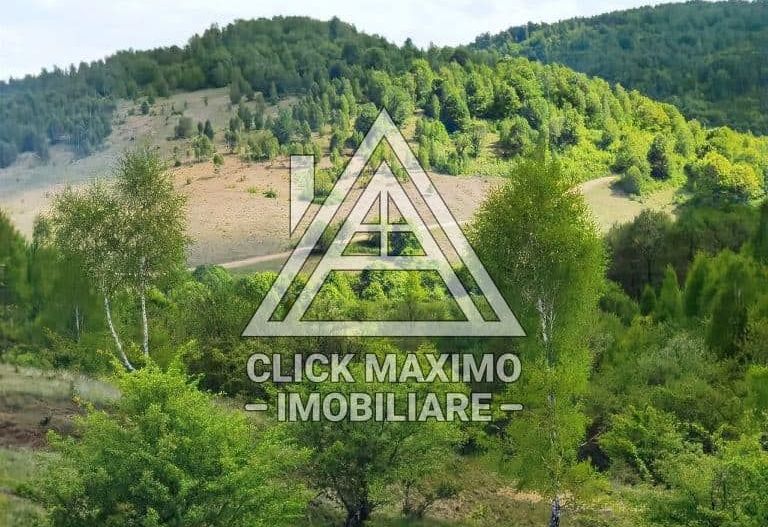 25.000 mp TEREN Ciucea – Calea Lata, jud. Cluj - Poză 7