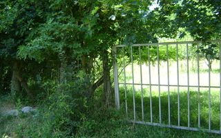 Teren de vanzare in Cornu 1585 mp - Negociabil - Poză 2