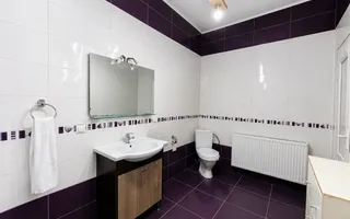 Casă pe un nivel -Sura Mare - Poză 13