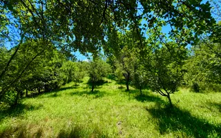 Casă de vânzare-teren 2.300 mp| Ocna Sibiului - Poză 24