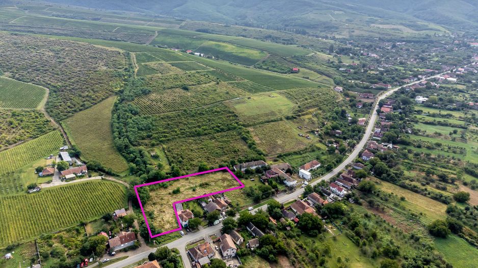 Teren de vis în Ghioroc! Stațiunea supranumită ”Litoralul Vestului” - Poză 7