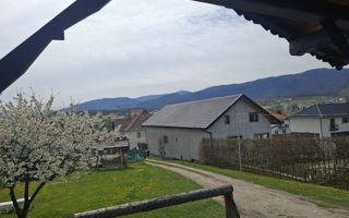 Casa solara si spatioasa, curte 700 mp - Cisnadie - Sibiu - Poză 12