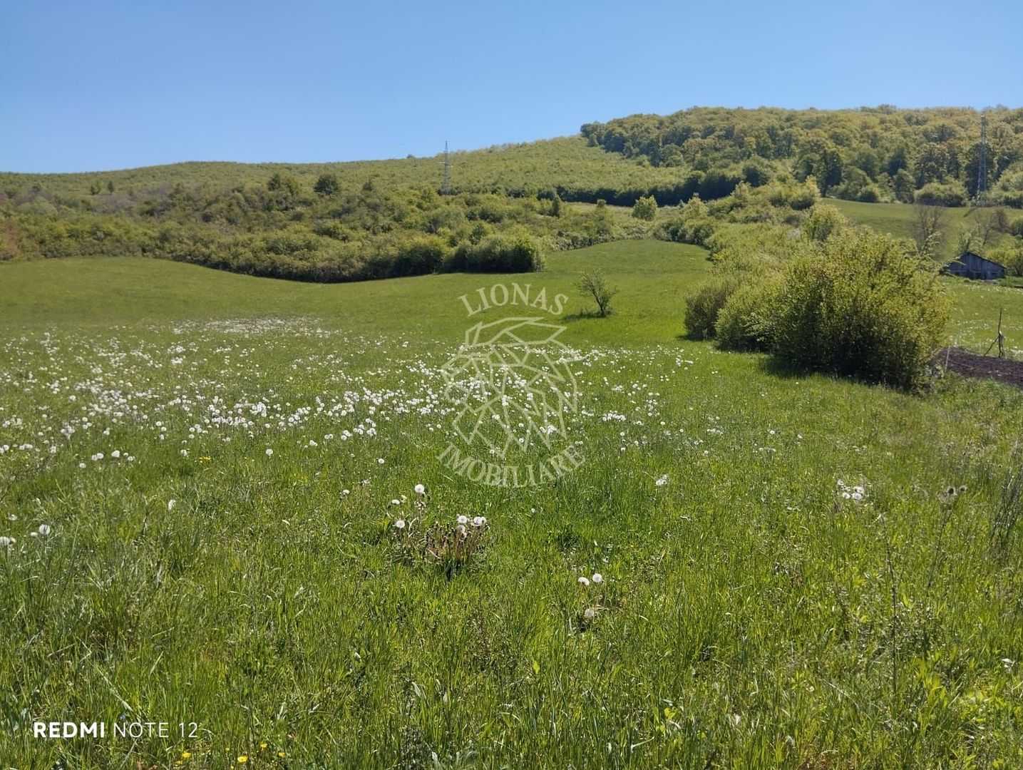 Teren 5400 mp-limita intravilan-2 deschideri-Sarata - Poză 2