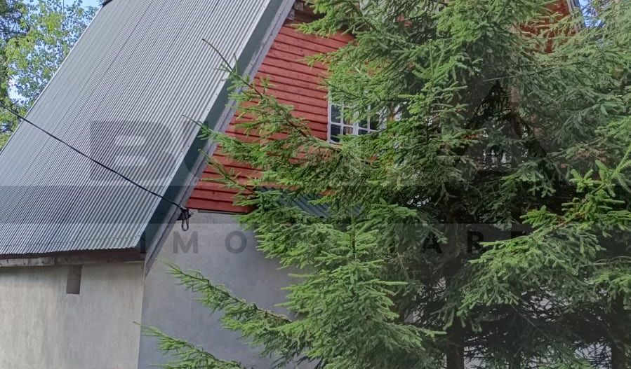 Casa de vacanta, Muntele Baisorii - Poză 1