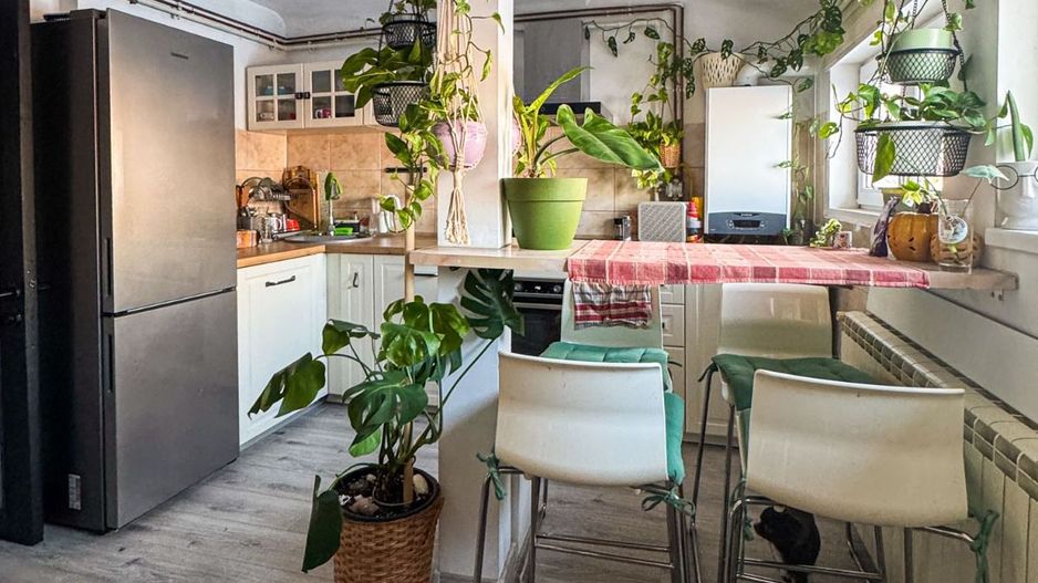 Apartament 2 camere - Domenii, etaj 2/2, centrala noua, curte, boxă, pod. - Poză 7