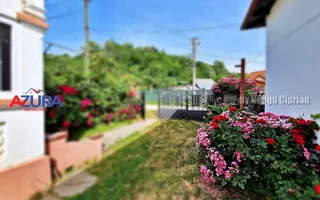 AZURA Imobiliare - Casa Merisani zona Primarie, Panouri fotovoltaice - Poză 21