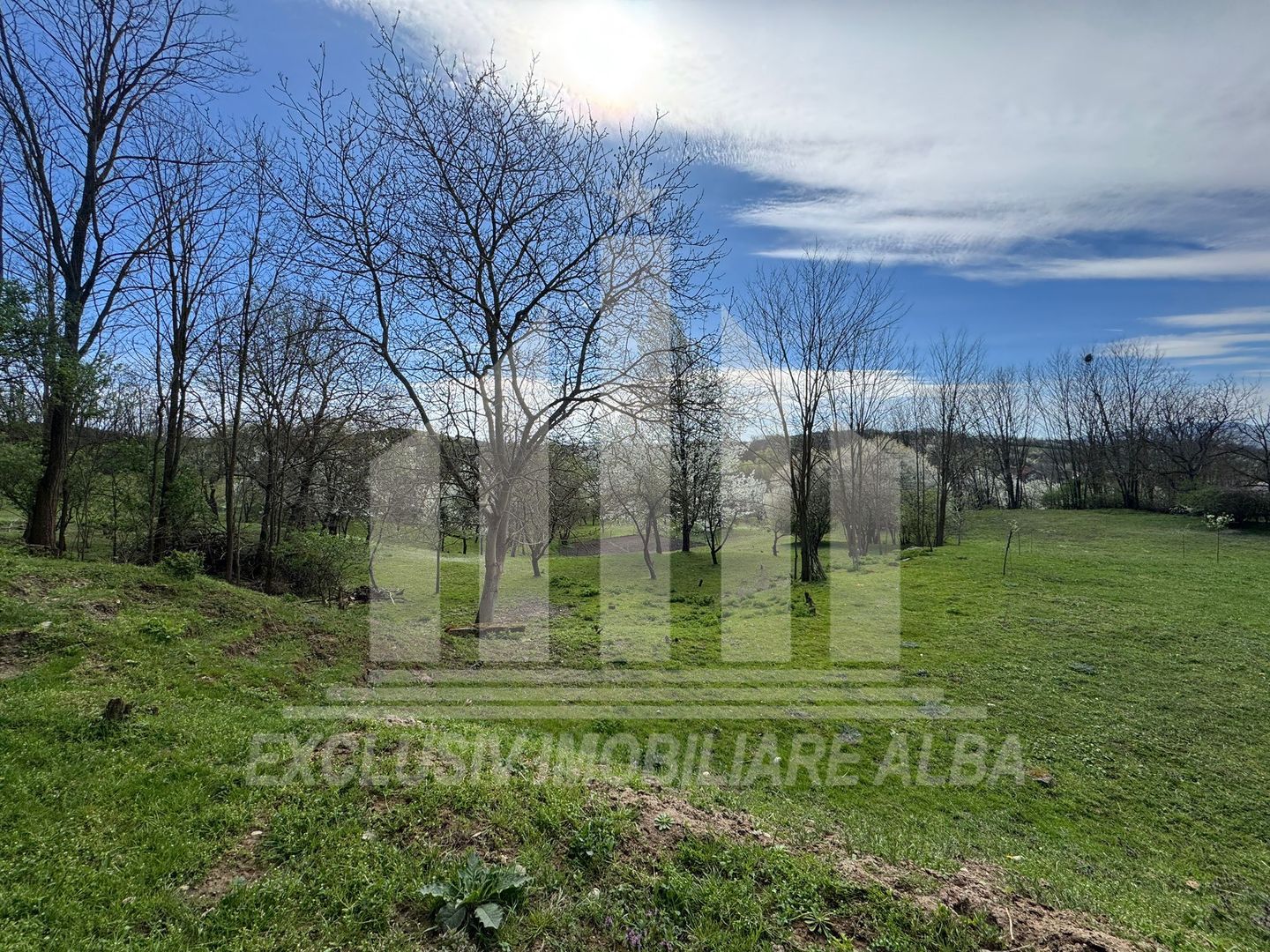 Casa individuala | De vanzare | 200 mp | 8140 mp teren | Oarda de Sus - Poză 17