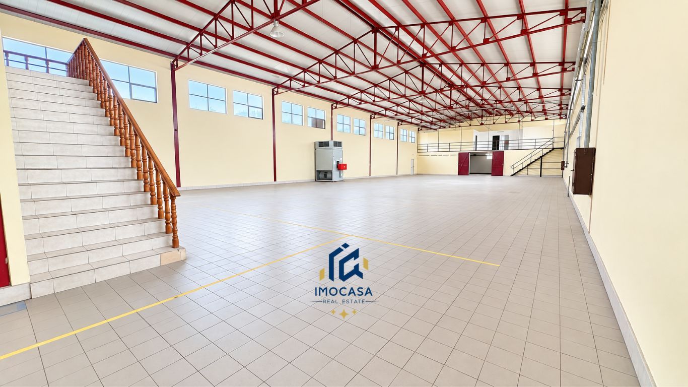 Hală multifuncțională de vânzare, locație strategică Micalaca Arad - Poză 9