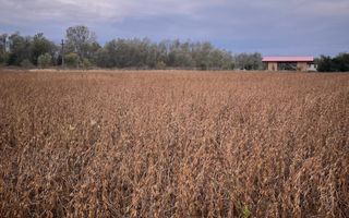 Teren zona buna. - Poză 1