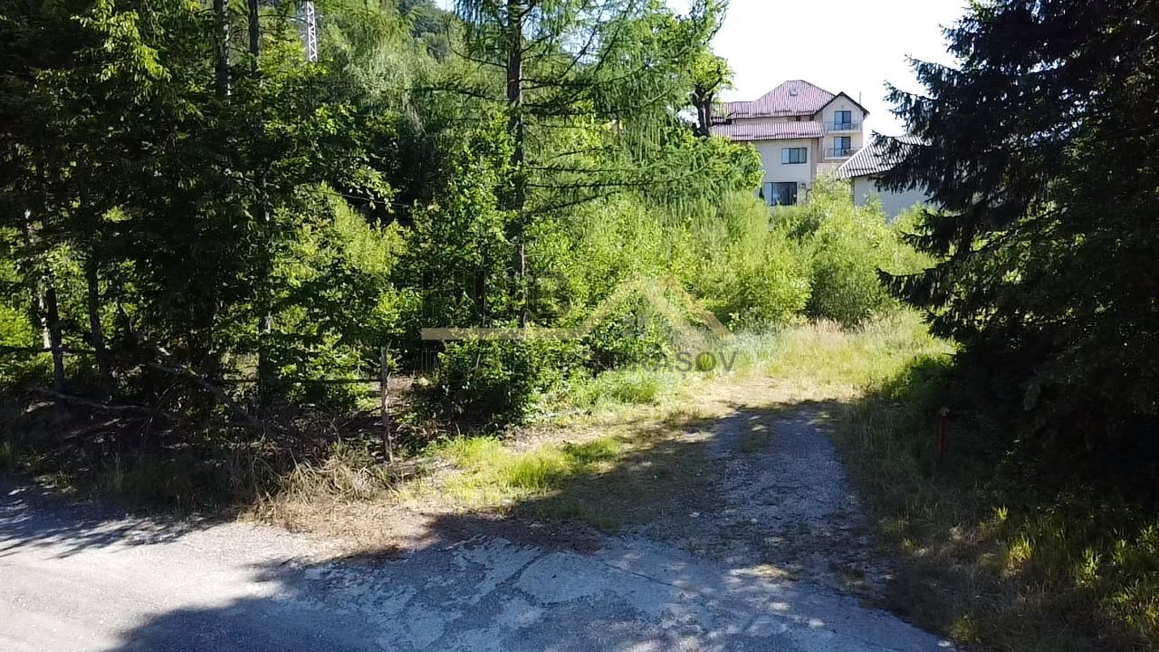 Teren constructii casa Dambu Morii | Utilitati | Necesar PUD - Poză 6