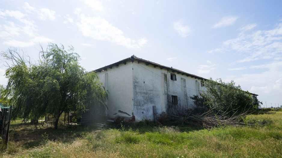 Oportunitate de investiție în localitatea Zărand - Poză 8