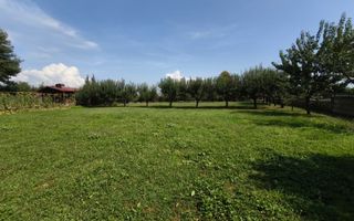 Complex industrial  cu teren 18,672 mp Târgu Lăpuș - Poză 26