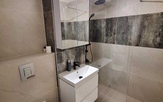 Apartament 3 camere mobilat si utilat modern parter zona Sub Arini - Poză 8