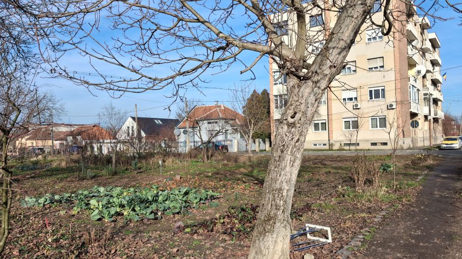 BRASADAS vinde 2000 mp. teren intravilan Diana Titulescu. - Poză 4