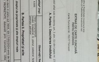 Teren Extravilan Vladiceni - Poză 3