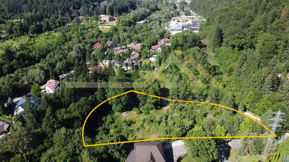 Oportunitate Investitie Teren Dambu Morii | Necesar PUD | Utilitati | 4.800mp - Poză 4