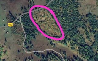 Vânzare, teren, extravilan, Suceava - Poză 4