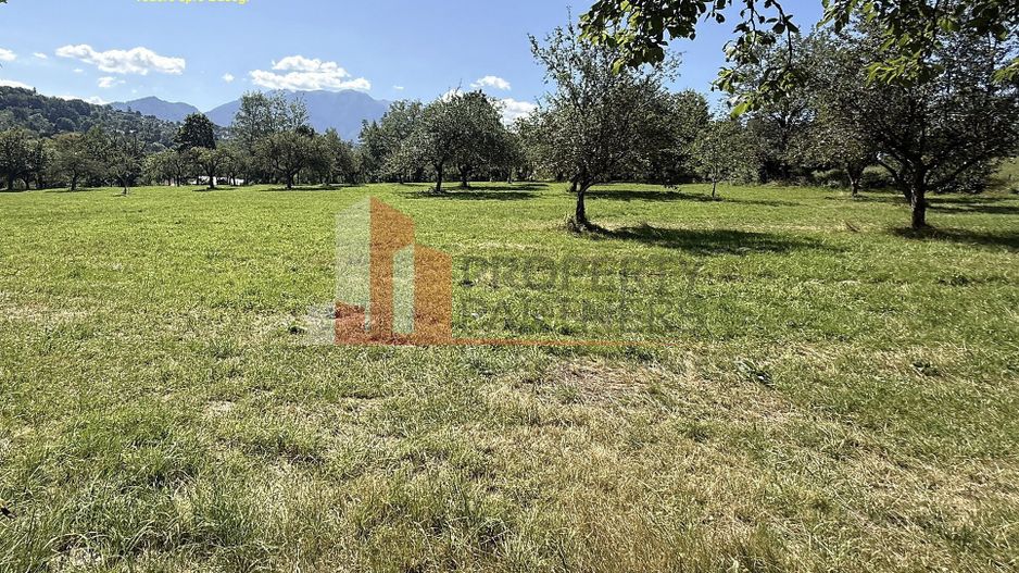 Teren 4558 mp cu casă tradițională, Sohodol, Bran - Poză 11