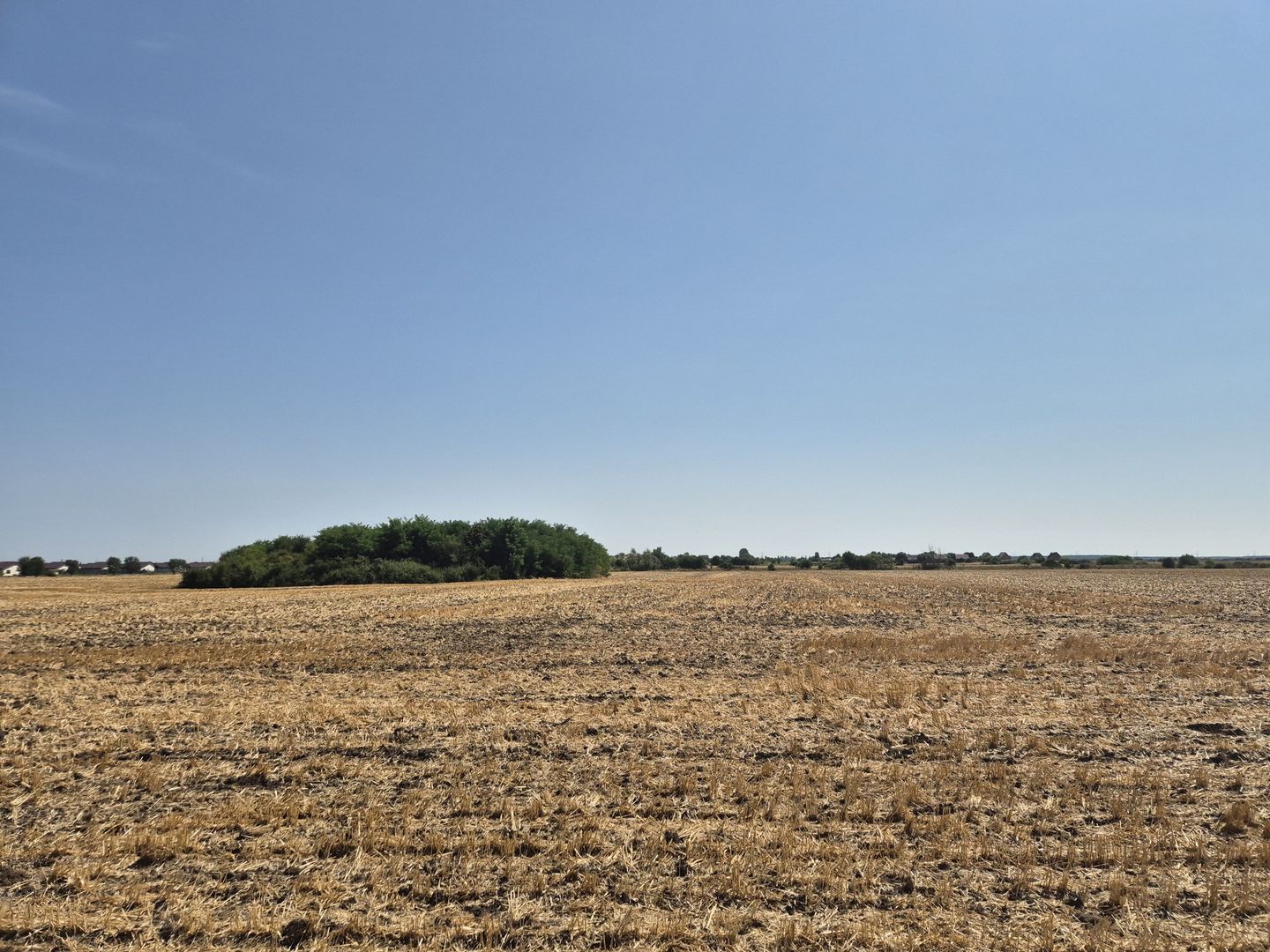 Teren intravilan 4428 mp - Balotesti - Poză 1