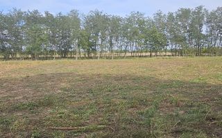 Teren intravilan construibil peisaj de vis - Poză 7