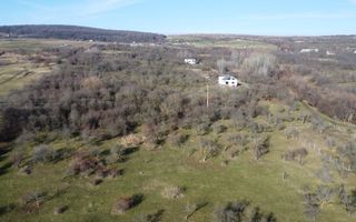 Teren 20.146 mp Dâmbu Rotund (Lomb).Extravilan.Potențial rezidențial - Poză 8