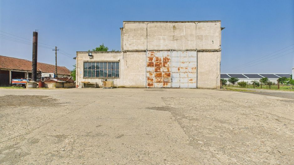 Complex industrial cu hale și teren  în Orțișoara - Poză 35