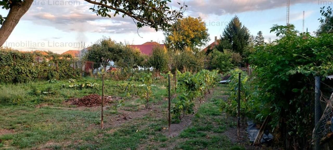 Proprietate individuala Bod S+P+E+M,zona de vile,837mp,149900 eur - Poză 2