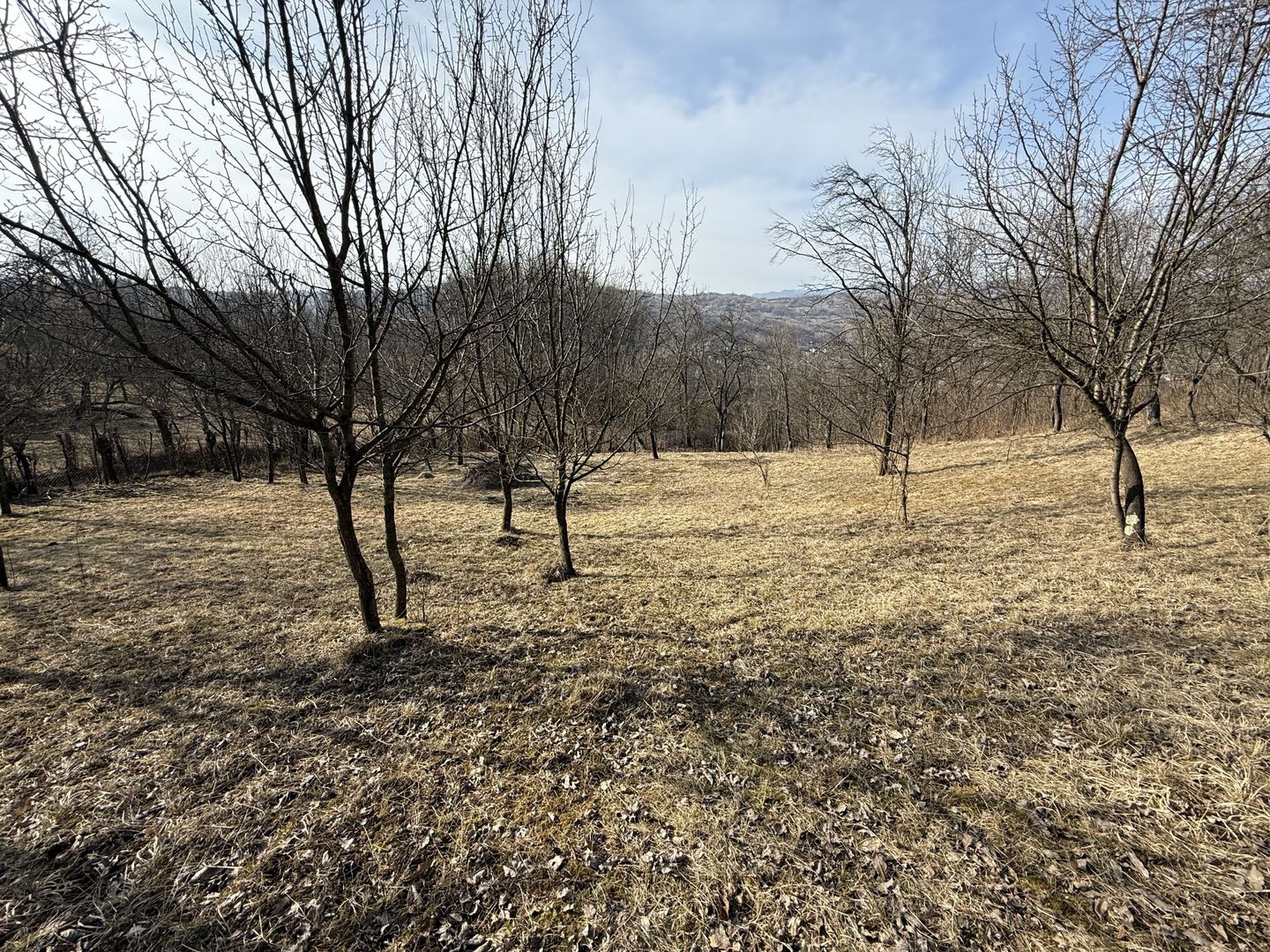 Teren intravilan 2788 mp deschidere 55 ml cu vedere panoramica ! - Poză 8