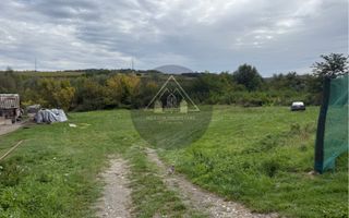 Teren Copsa Mica - Poză 4