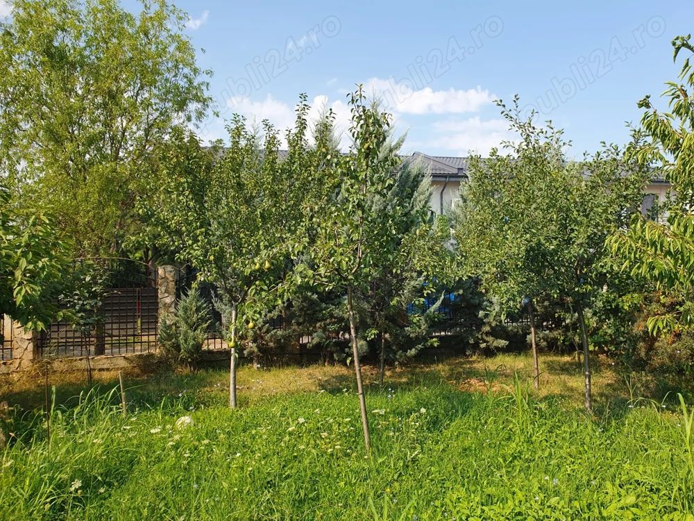 De vanzare teren 562mp + foisor si beci, Bragadiru - Poză 2