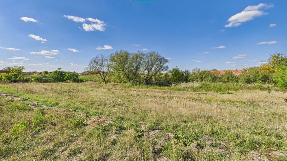 Teren intravilan 6115mp pentru investiții Firiteaz - Poză 5