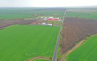 Teren industrial Dudestii Noi - Poză 5