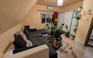 Apartament 2 camere DECOMANDAT-Zona Lipovei - Poză 8