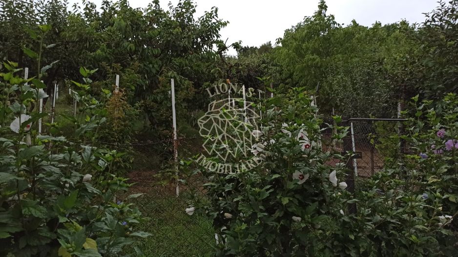 Casa 190 mp-teren 1860 mp-garaj-curte amenajata-Valea Sigmirului - Poză 9