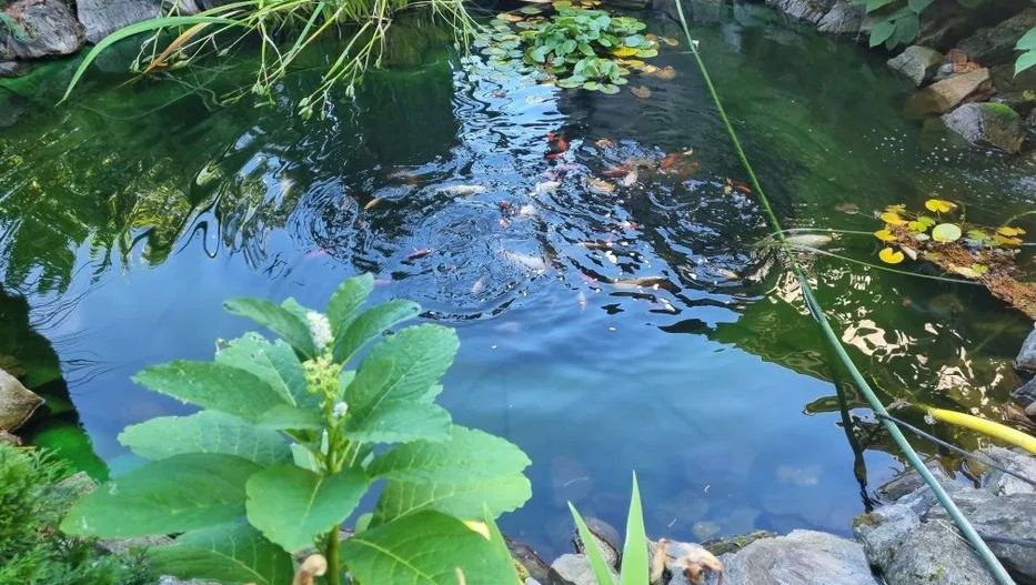 Casa cu 4 camere | Gruia | Parcare Proprie - Poză 7