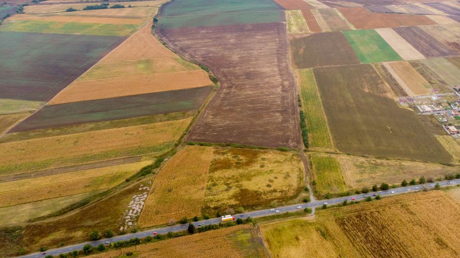 Teren de 19798mp în Zimandu Nou - Poză 3