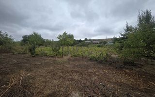 Case tradiționale în Scoposeni, comuna Gorban - 2 locuințe pe teren de 2400 mp - Poză 6