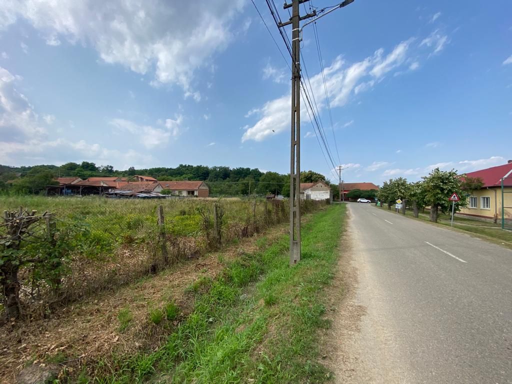 Teren Zgribesti numai 5 euro/mp - Poză 3