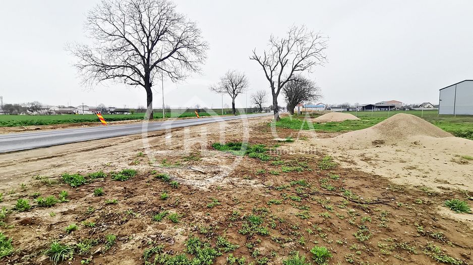 Teren intravilan de inchiriat in Santandrei, Bihor - Poză 1