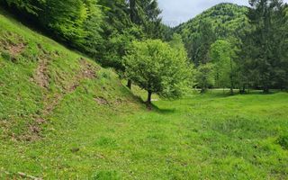 13005 mp teren faneata in Bran Simon cu fornt de 57 mp - Poză 11