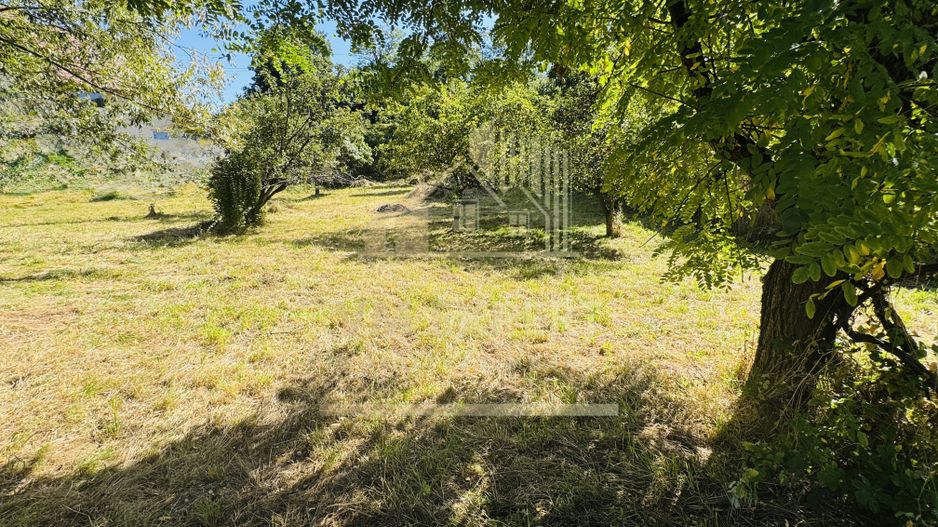 TEREN INTRAVILAN 3234 MP LEREȘTI VOINEȘTI ARGEȘ - Poză 37