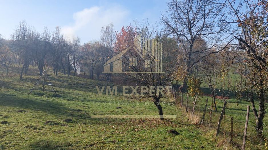 TEREN INTRAVILAN 3000 MP, CAMPULUNG - Poză 4