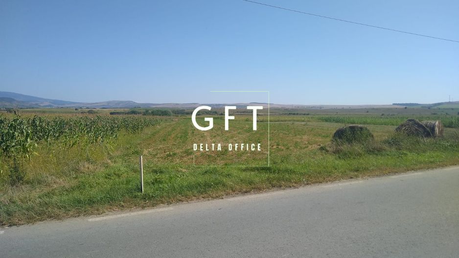 Teren 20000 mp - parcelabil - oportunitate investitie - Jelna - Poză 1