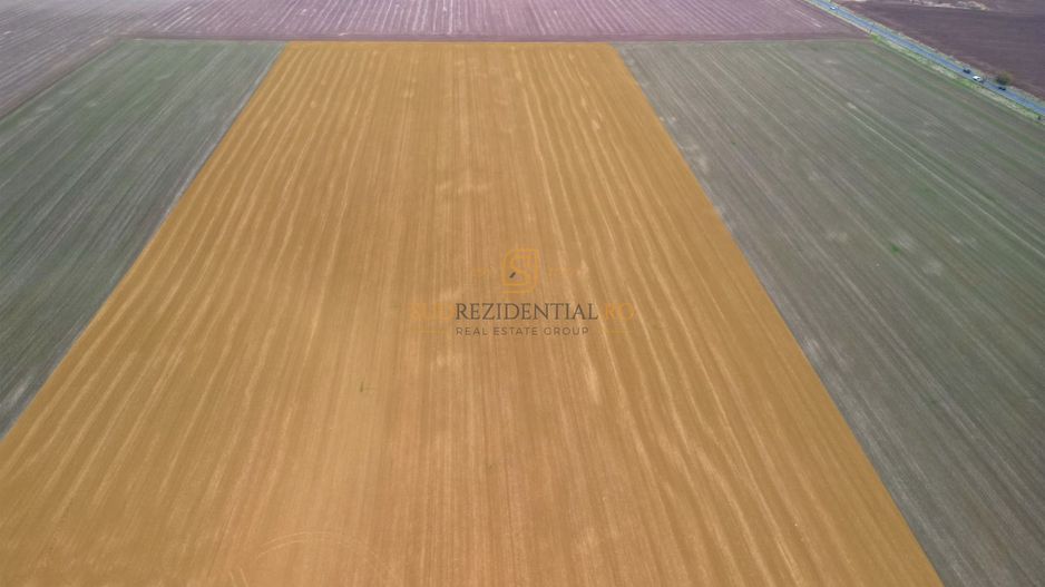 Teren 84.400 mp, ideal dezvoltare rezidentiala, PUZ aprobat, Frumusani - Poză 7