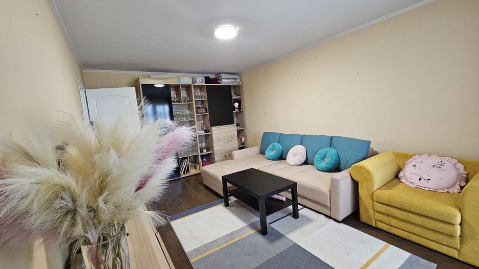 APARTAMENT 3 CAMERE LIPOVEI - Poză 12