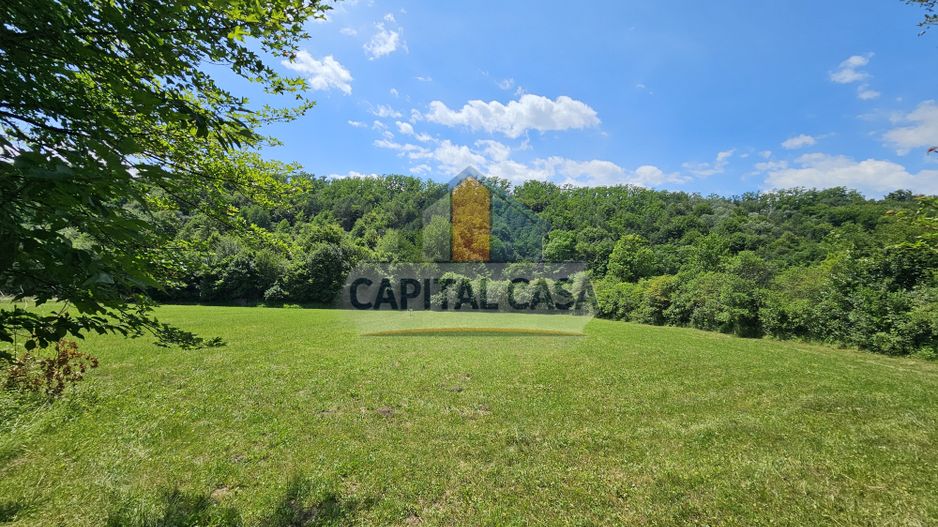 Teren superb de Vanzare in Darmanesti, Bacau - Poză 5