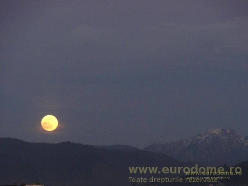 Exclusivitate - garsoniera spațioasă, pet friendly - Poză 1