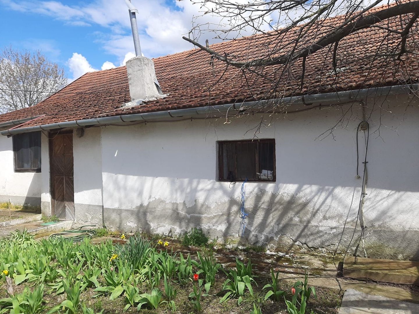 Casă cu teren generos la Bodo - Poză 4